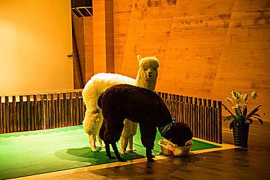 还有高手 外媒评今年最差劲的15款游戏 